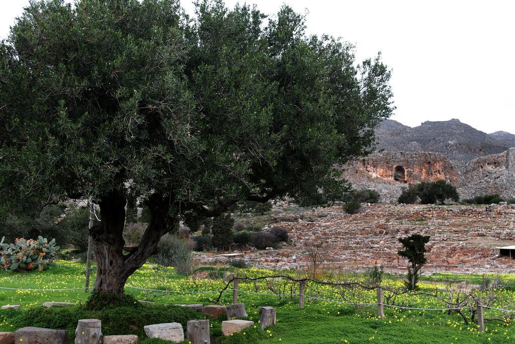 Villa Kalliopi Ιncreteble Cretan Resindences Collection Ксерокамбос Экстерьер фото