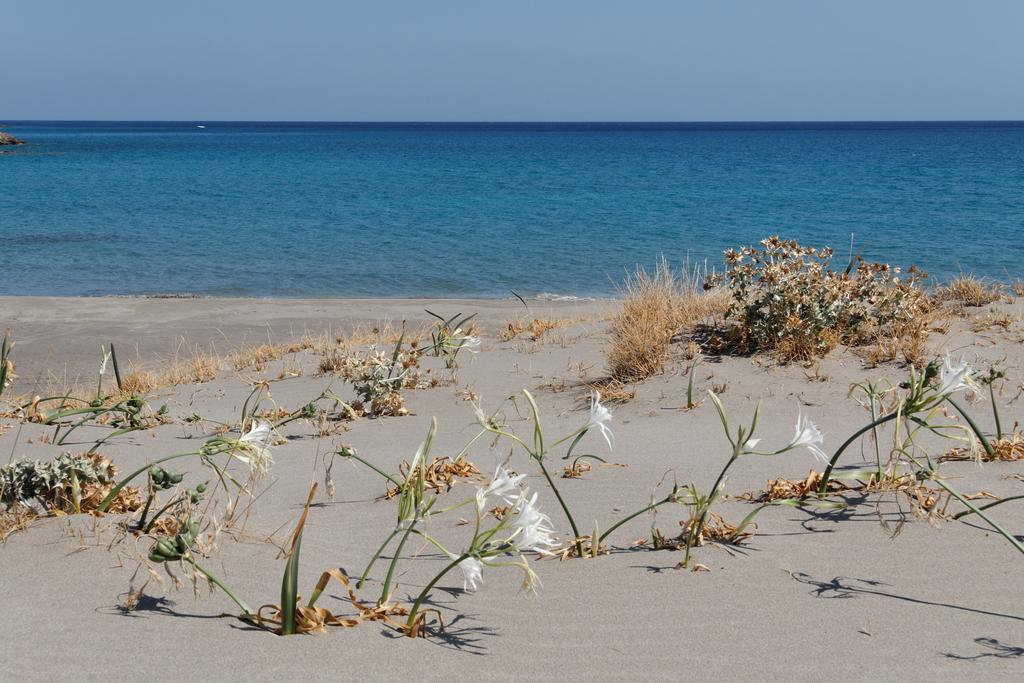 Villa Kalliopi Ιncreteble Cretan Resindences Collection Ксерокамбос Экстерьер фото