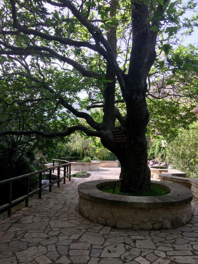 Villa Kalliopi Ιncreteble Cretan Resindences Collection Ксерокамбос Экстерьер фото